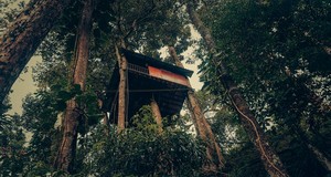Tree House at Ela Ecoland Munnar